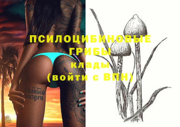молекула духа Абаза