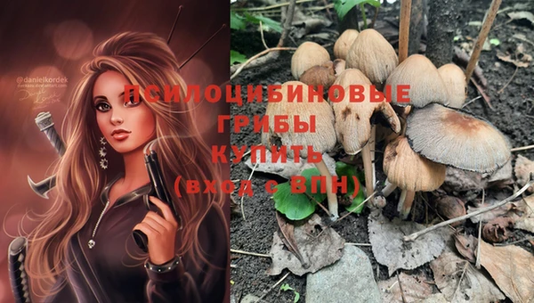 spice Абдулино